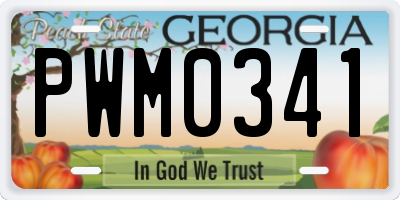 GA license plate PWM0341