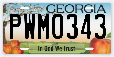 GA license plate PWM0343