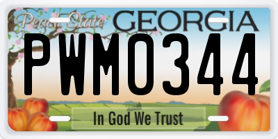 GA license plate PWM0344