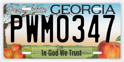 GA license plate PWM0347
