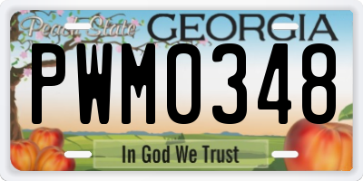 GA license plate PWM0348