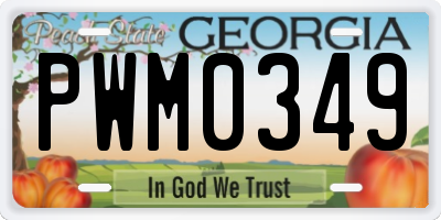 GA license plate PWM0349