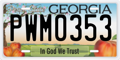 GA license plate PWM0353