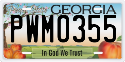 GA license plate PWM0355