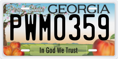 GA license plate PWM0359