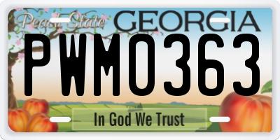 GA license plate PWM0363