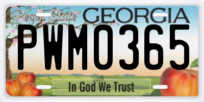 GA license plate PWM0365