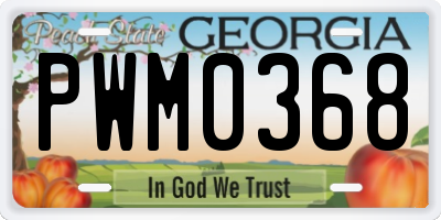 GA license plate PWM0368