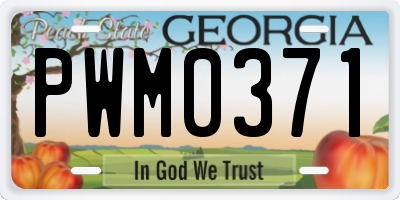 GA license plate PWM0371