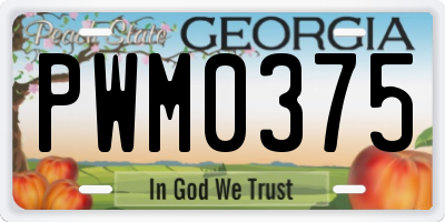 GA license plate PWM0375