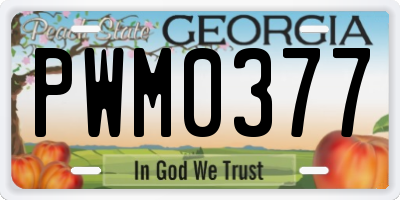 GA license plate PWM0377