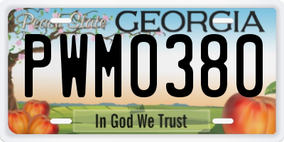GA license plate PWM0380