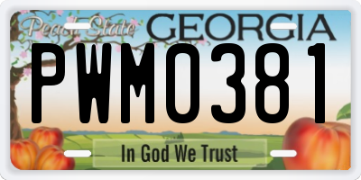 GA license plate PWM0381