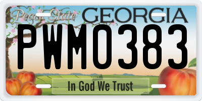 GA license plate PWM0383