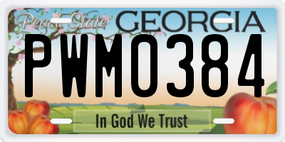 GA license plate PWM0384