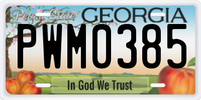 GA license plate PWM0385