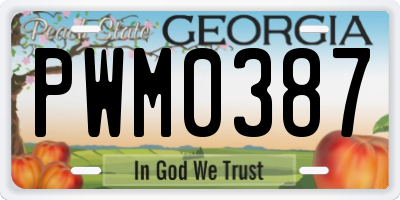 GA license plate PWM0387