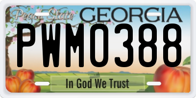 GA license plate PWM0388