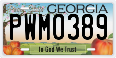 GA license plate PWM0389