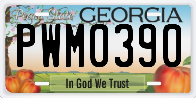GA license plate PWM0390