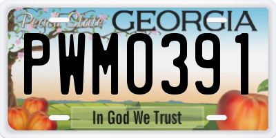GA license plate PWM0391