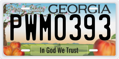 GA license plate PWM0393