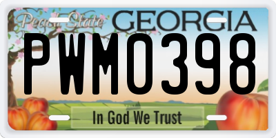 GA license plate PWM0398