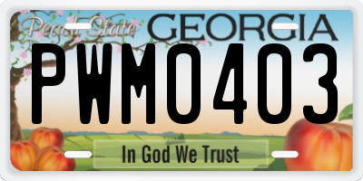 GA license plate PWM0403