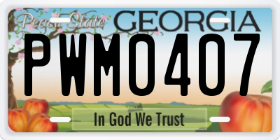 GA license plate PWM0407