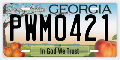 GA license plate PWM0421