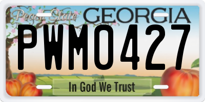 GA license plate PWM0427
