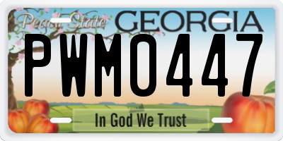 GA license plate PWM0447