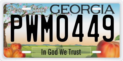 GA license plate PWM0449