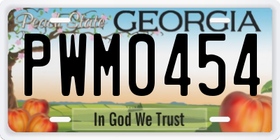 GA license plate PWM0454