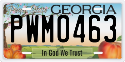 GA license plate PWM0463