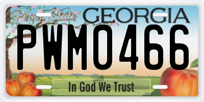 GA license plate PWM0466