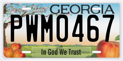 GA license plate PWM0467