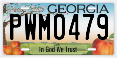 GA license plate PWM0479