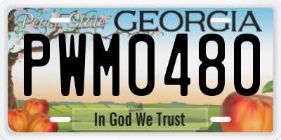 GA license plate PWM0480