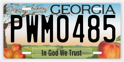 GA license plate PWM0485