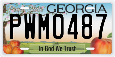 GA license plate PWM0487
