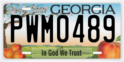 GA license plate PWM0489