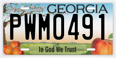 GA license plate PWM0491