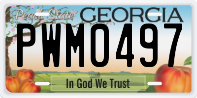 GA license plate PWM0497
