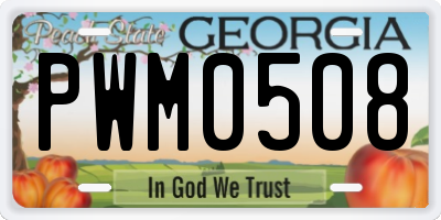 GA license plate PWM0508