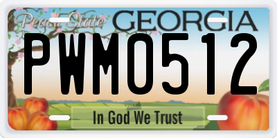 GA license plate PWM0512