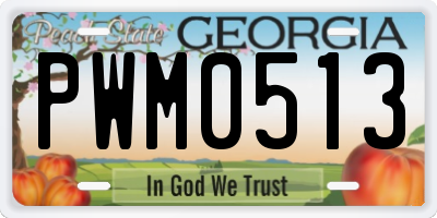 GA license plate PWM0513