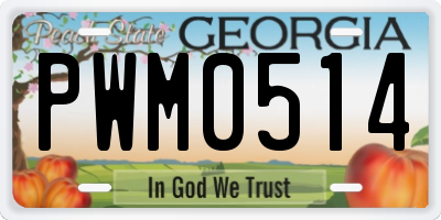 GA license plate PWM0514