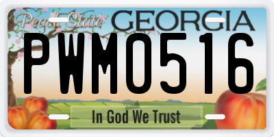 GA license plate PWM0516