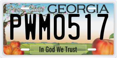 GA license plate PWM0517